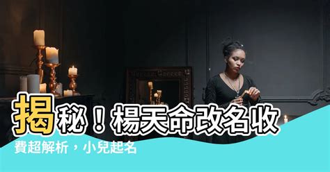 楊天命 改名|小兒起名服務電子表格 – 楊天命顧問有限公司 